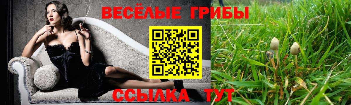 Комсомольск-на-Амуре  Псилоцибиновые грибы прущие грибы  Вход с VPN 